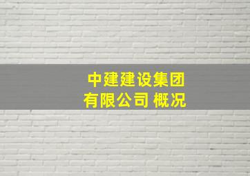 中建建设集团有限公司 概况